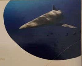fahlo shark qr code